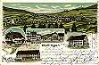  Litho von Wehingen, gelaufen, 1906