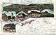 Litho von Deilingen, gelaufen, 1901